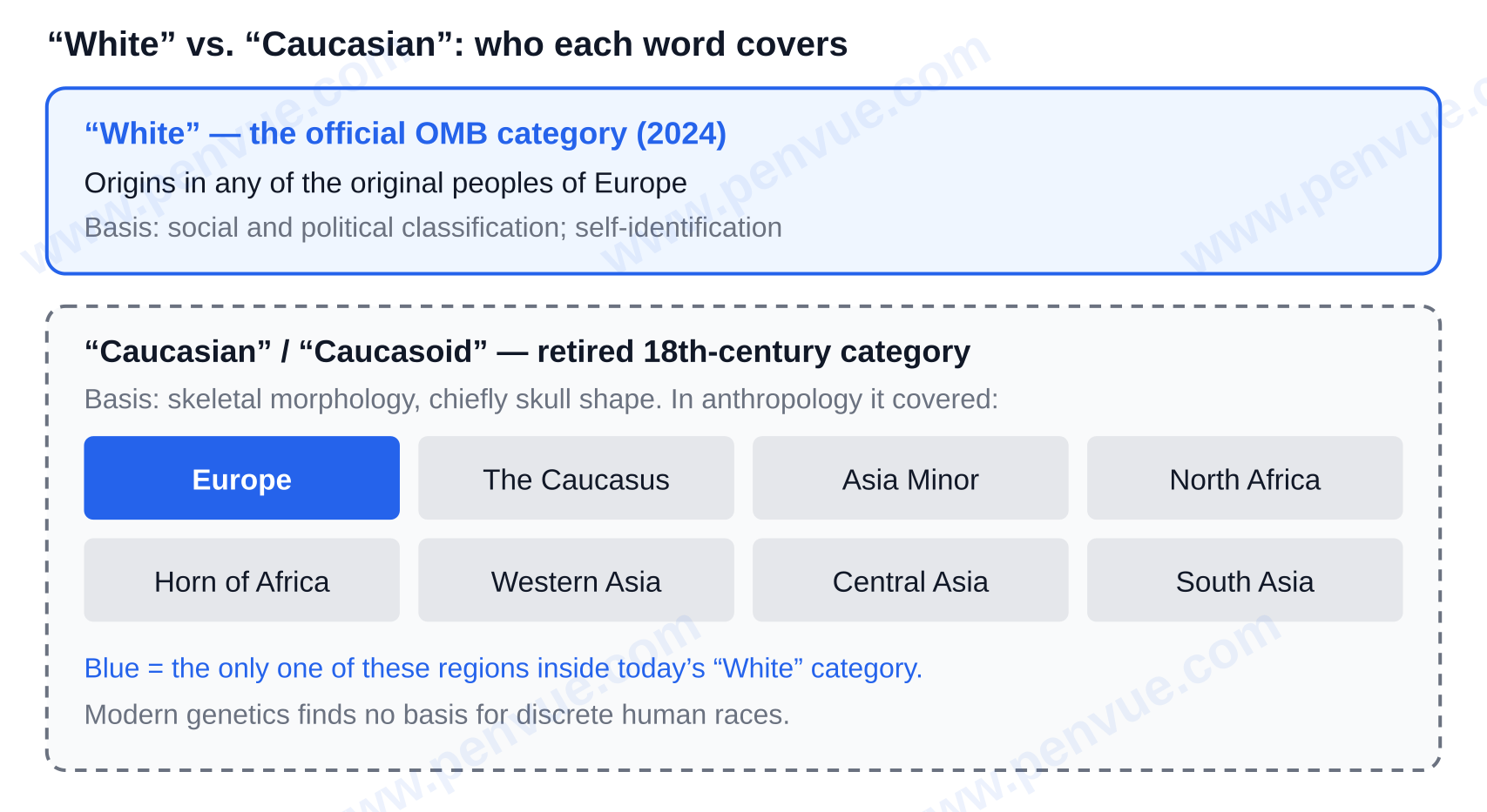 Who each word covers: “White” (origins in the original peoples of Europe) versus the retired anthropological “Caucasoid” category, which covered eight regions — caucasian vs white