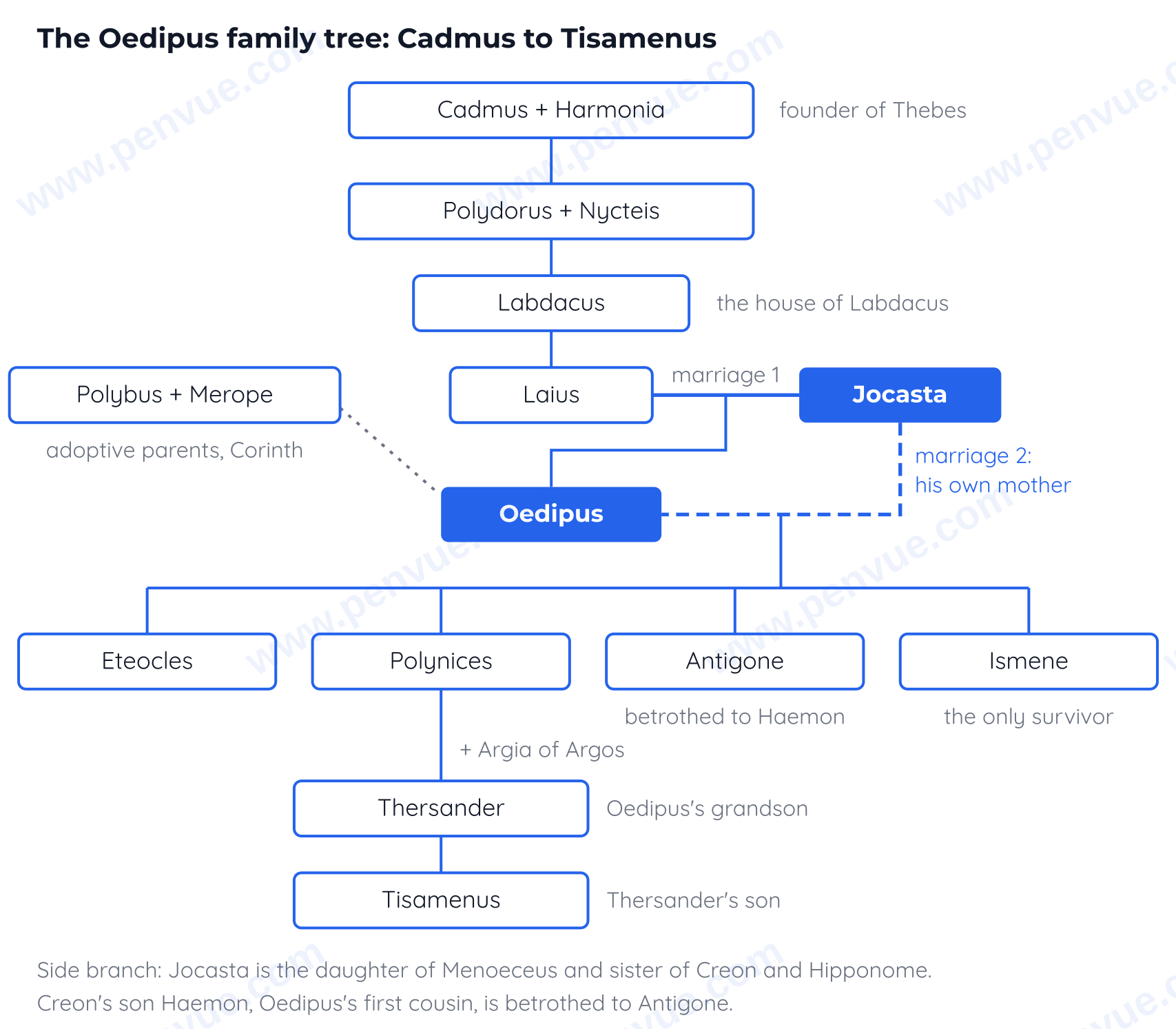 The Oedipus family tree from Cadmus to Tisamenus, showing Jocasta's two marriage lines